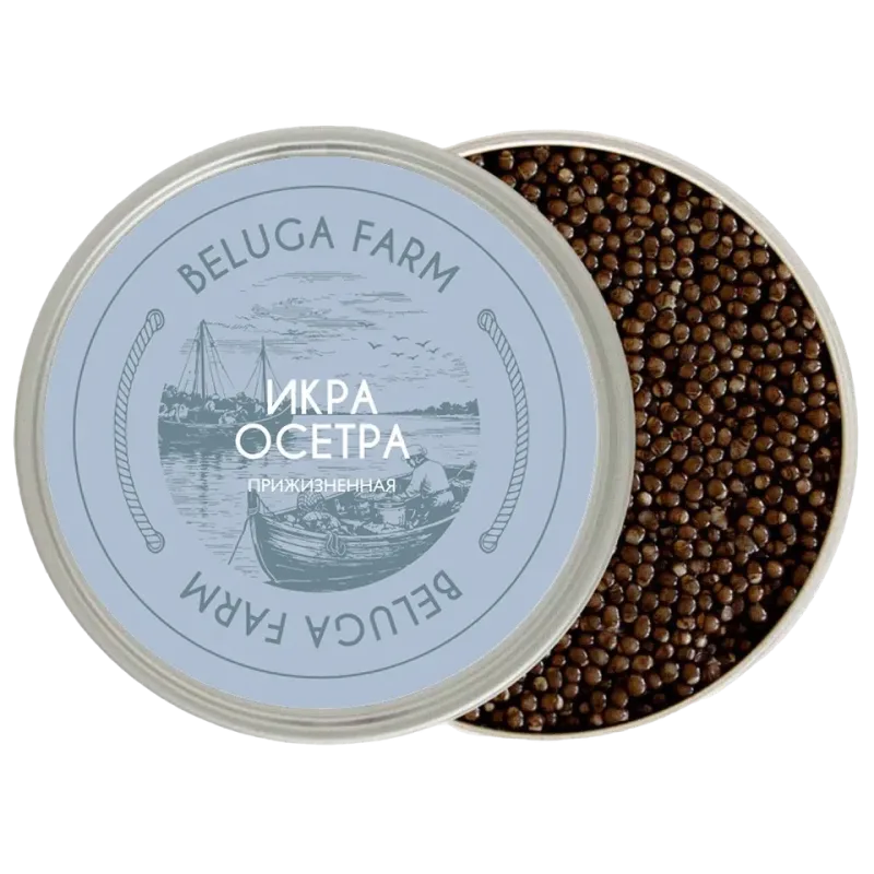 Чёрная икра русского осетра